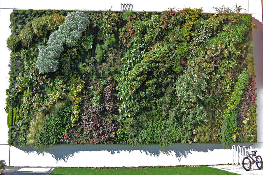 vertikale pflanzenwand – performal vertikale pflanzenwand – performal, Garten seite