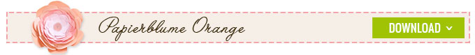 download--button_orange_neu